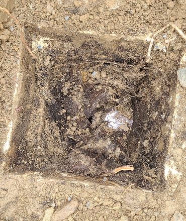 Severe root intrusion into the tank.