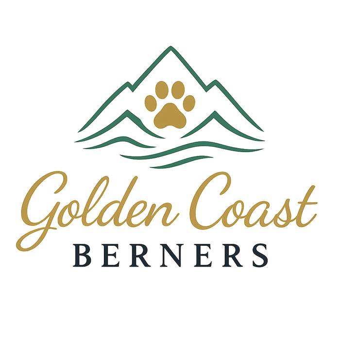 Logo for Golden Coast Berners with mountain and paw print design.