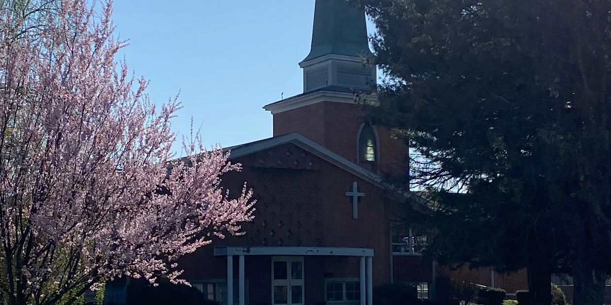 A church with a tall steeple and blooming trees on a sunny day.
