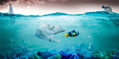 PTE, contaminacion residuos plasticos, reciclaje, transformacion ecologica, medioambiente, pirolisis
