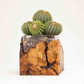 Wooden pot with small stones and a cactus in it