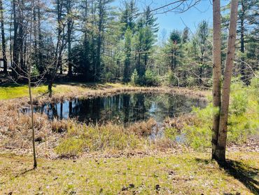 The pond behind the Holistic Alignment Healing Center in Somersworth, NH