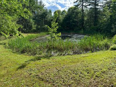 The pond behind the Holistic Alignment Healing Center in Somersworth, NH