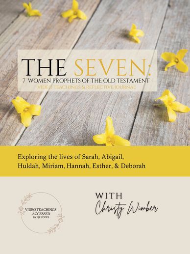 The Seven Prophets of the Old Testament produced by Visible 20:24 Productions.