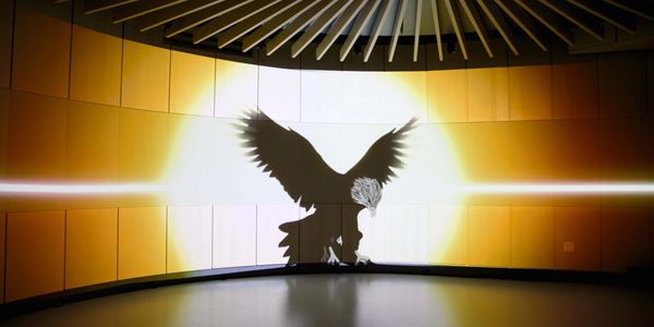 Silhouette of a bird with outstretched wings projected on a circular wall.