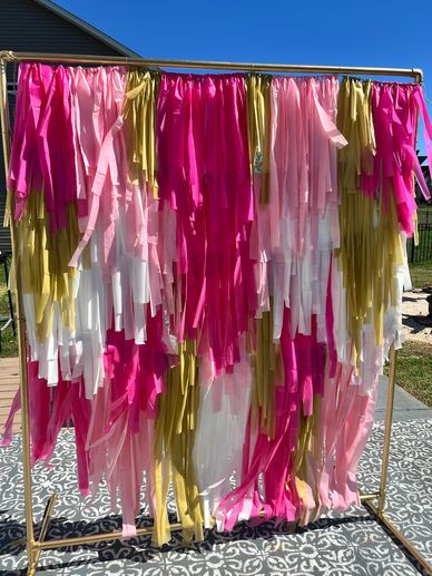 Trending Fringe Backdrop customized to match your event colors and decor Charlotte, NC