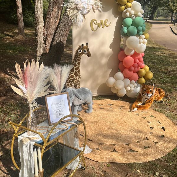 Boho Safari birthday decor and party backdrop rentals Charlotte, NC