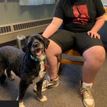 Person sitting with a happy black and white dog.