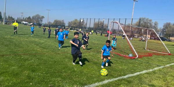 Kids playing soccer on a sunny day.