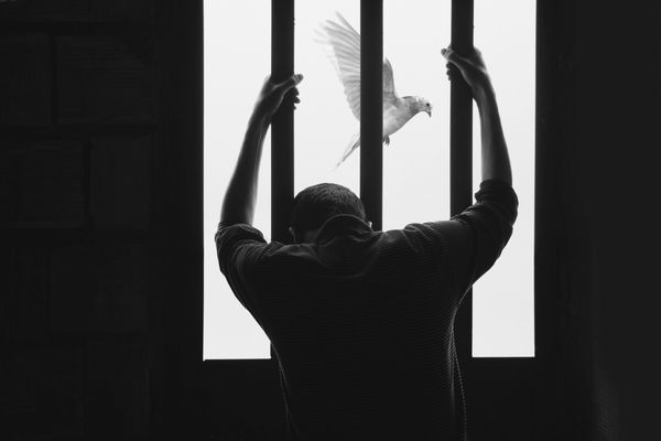 A man holding prison bars with a bird flying outside the window.
