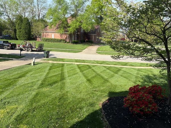 Freshly mowed lawn with striped patterns and blooming red flowers.