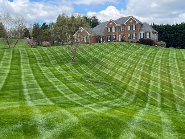 A large brick house overlooks a meticulously striped green lawn with a lone tree in the center.