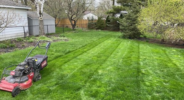 A red Toro lawn mower on a freshly mowed green lawn with striped patterns.