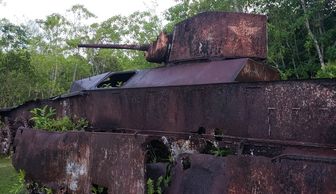 Geoffrey Wawro examines U.S. LVT, Peleliu Island.