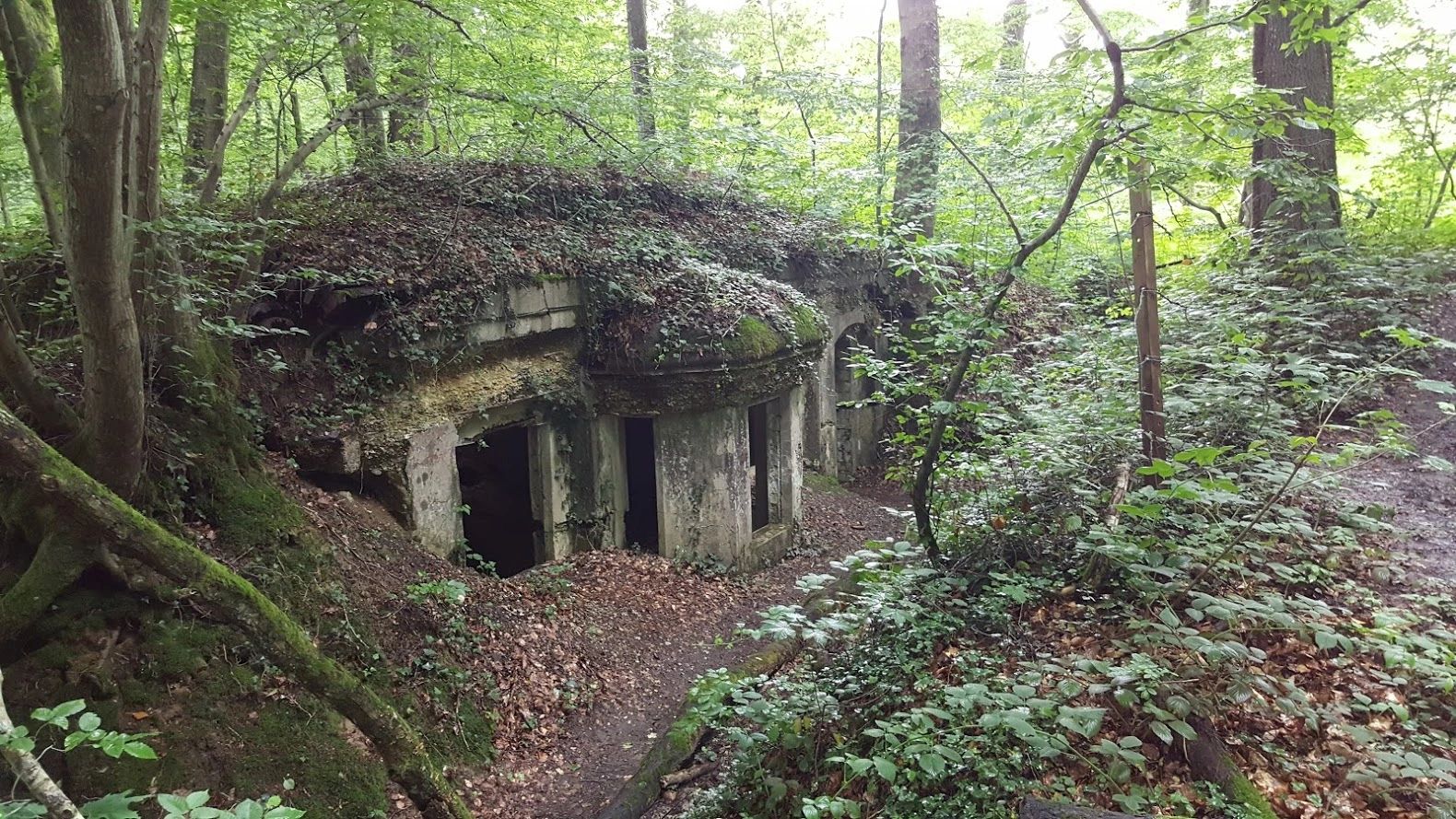 Geoffrey Wawro visit to German bunker attacked by the A.E.F. in the Argonne Forest in Sept. 1918.