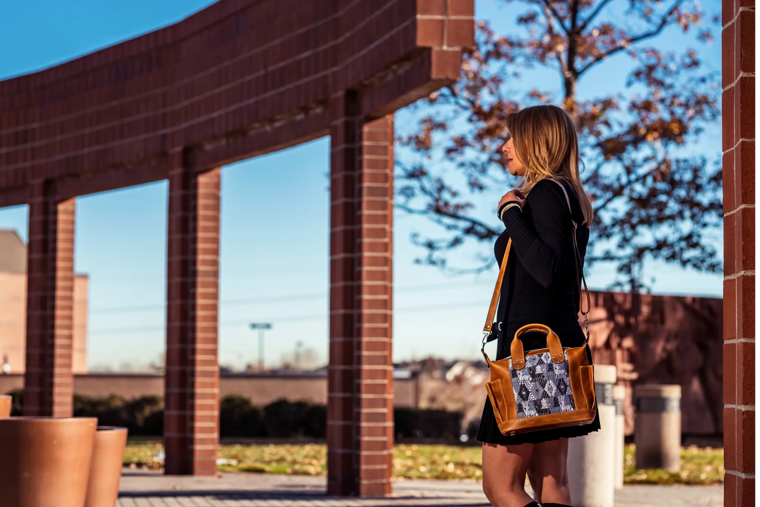 Mini Aria convertible bag