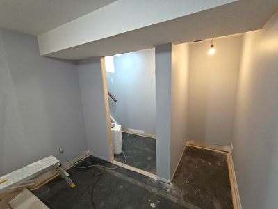 Painting basement extension