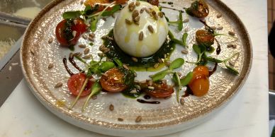 Gourmet burrata with cherry tomatoes and microgreens.