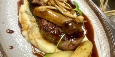 Gourmet steak with mushroom sauce and mashed potatoes.
