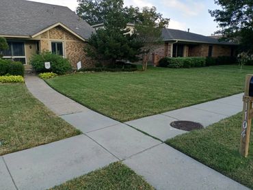Suburban houses with well-maintained lawns and intersecting sidewalks.
