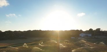 Sprinklers irrigate a large field under the bright morning sun.