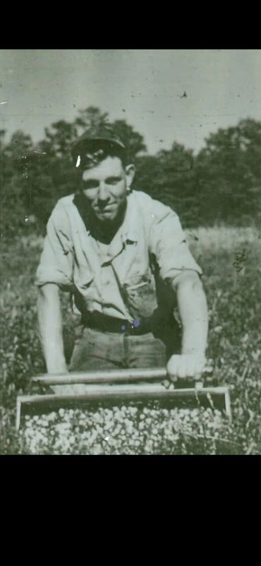 Grandfather John E. Hall scooping cranberries 1943