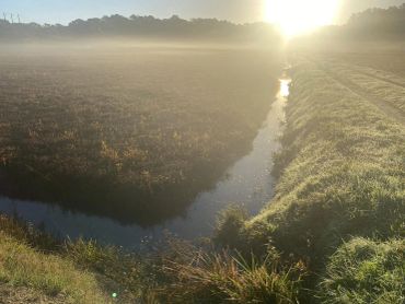 Sunrise over a misty field with a small water channel.