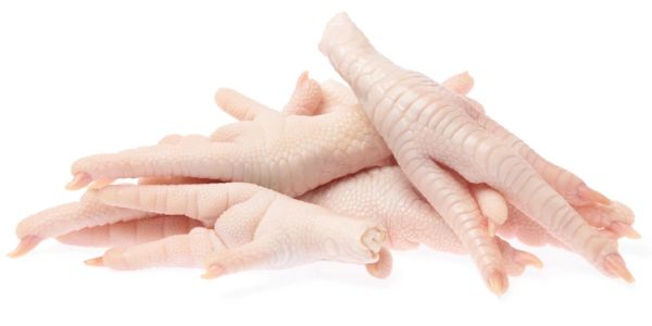 A pile of raw chicken feet on a white background.