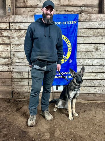 german shepherd training all breed training