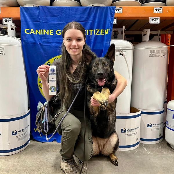 Dog training award good citizen class classes