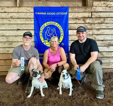 canine good citizen training all breeds dog training