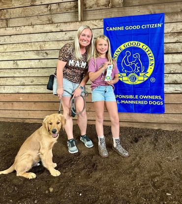 dog training for golden retriever family friendly