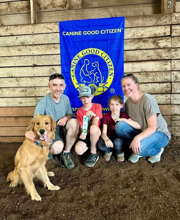 canine good citizen golden retriever