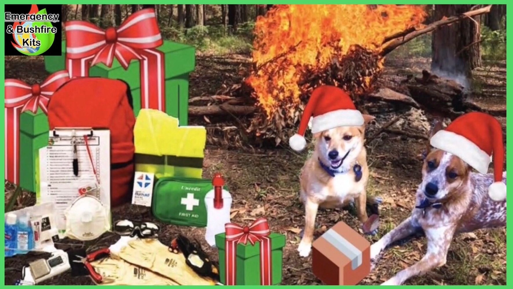 Emergency Kits Survival kit Safety Gear fire bushfire dogs Christmas online Australia storm prepared