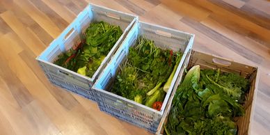 organic produce.