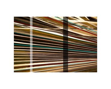 Environmental art fine art photographic collage palm frond limited edition photograph