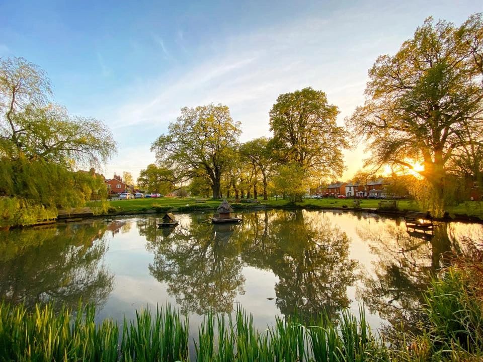 image of the duck pond in Hartley Wintney