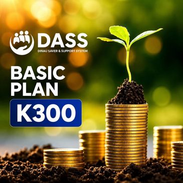 Plant growing on stacked coins symbolizing financial growth for DASS Basic Plan K300.