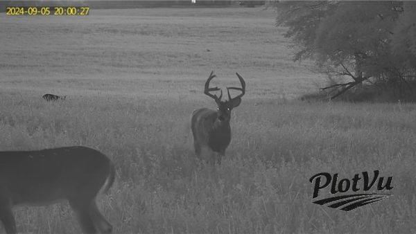 PlotVu Cameras offer Night Vision with PIR and White Light capabilities.