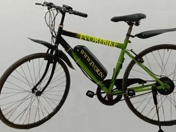 Electric City Bicycle