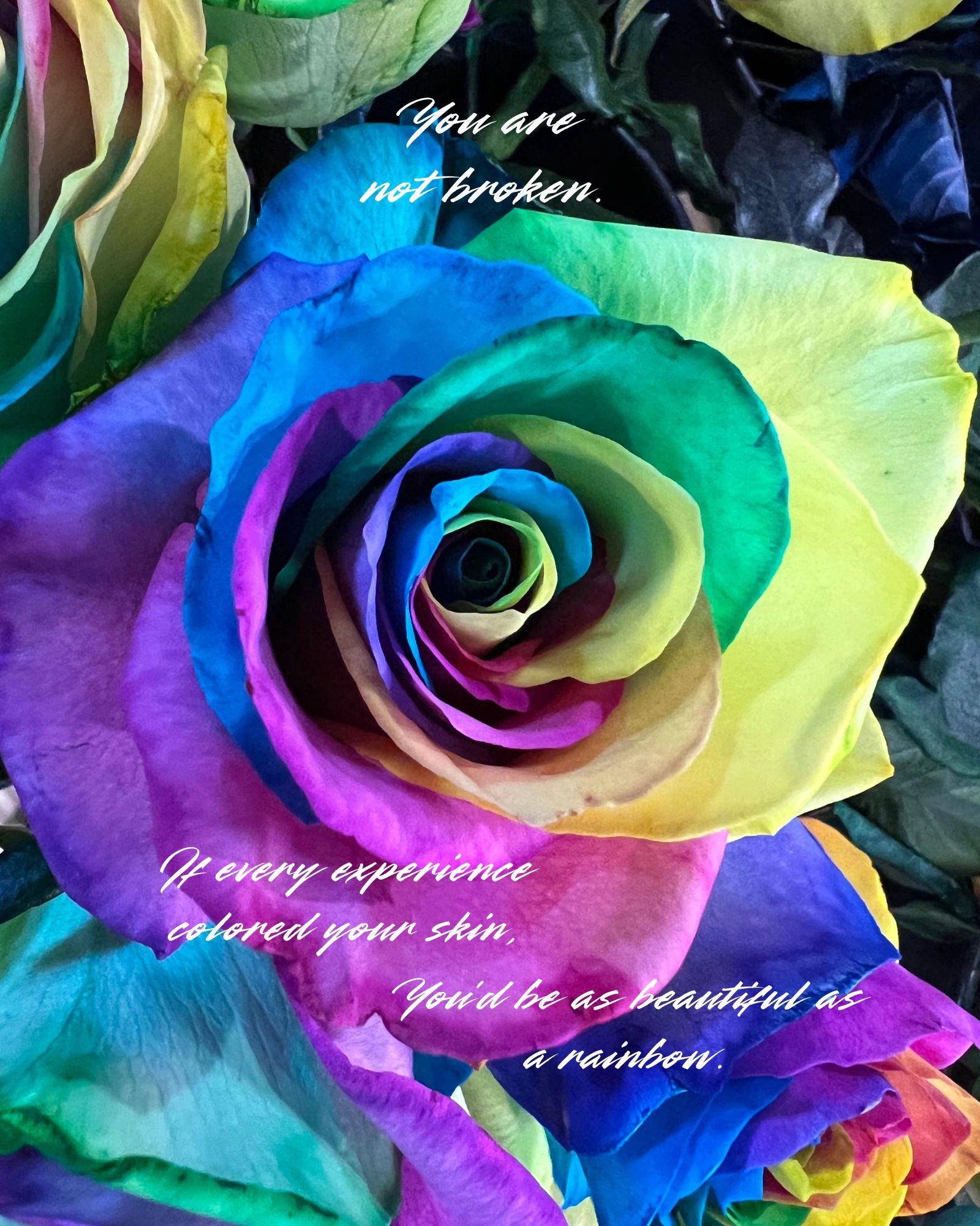 A vibrant rainbow-colored rose with an uplifting message about beauty and resilience.