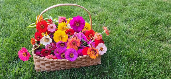 A basket filled with vibrant multicolored flowers on green grass.