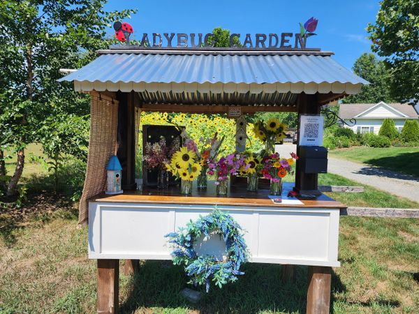 A charming roadside flower stand named Ladybug Garden with colorful bouquets and a decorative wreath.