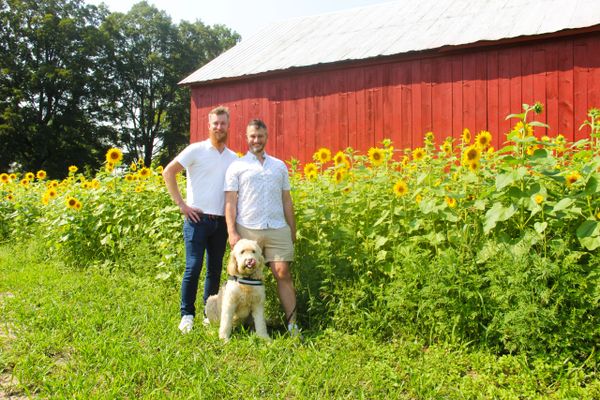 Two men and a dog stand in front of a sunflower field and red barn on a sunny day.