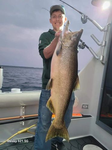 Spawning King Salmon Port Washington Charter Fishing Port Washington Fishing Charters Ninja Charters