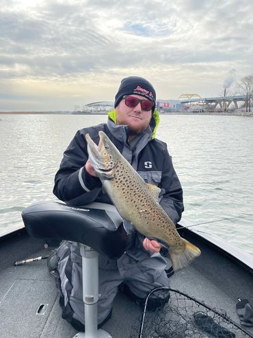 Brown Trout Spawning King Salmon Port Washington Charter Fishing Port Washington Fishing Charters