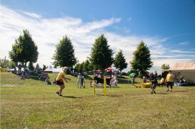 People playing a game with yellow poles outdoors on a sunny day.