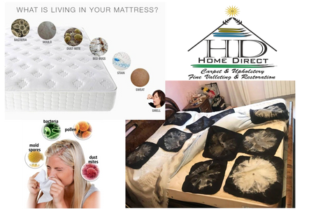 Mattress Dust Mite Removal, Mattress Deep Cleaning, Mattress Cleaning, Mattress Sanitization, stains