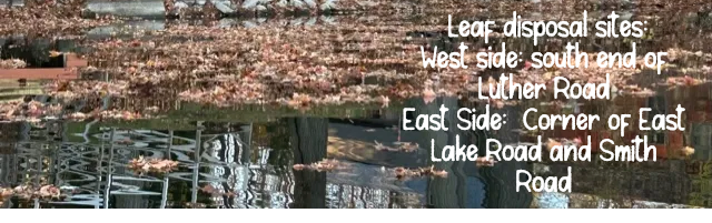 Pleease DON'T RAKE IN THE LAKE! It is against DEC Law!