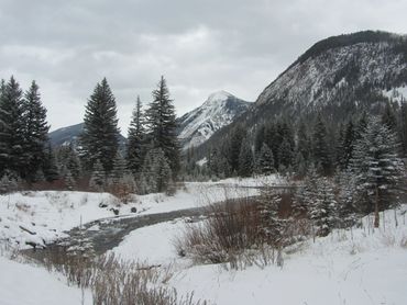 Photograph of snowy winter scenery with icy stream, pine trees and mountain peaks